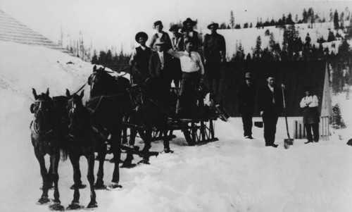 Snowshoed Horse Team Group Portrait (Front View)