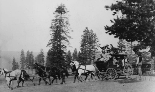 Concord Style Stagecoach