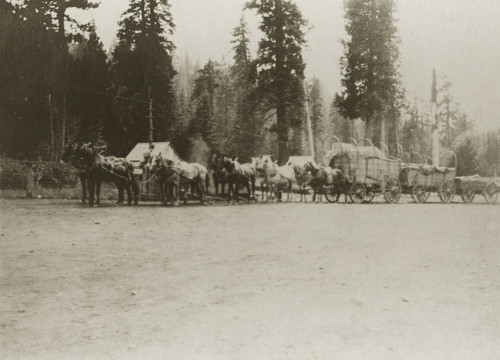 Freighting in Butte Meadows