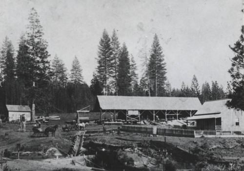 Forbestown Sawmill