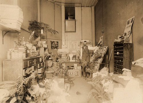 Guill's First Seed Store