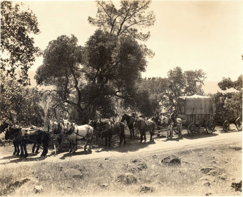 Freight Wagon going to Forbestown