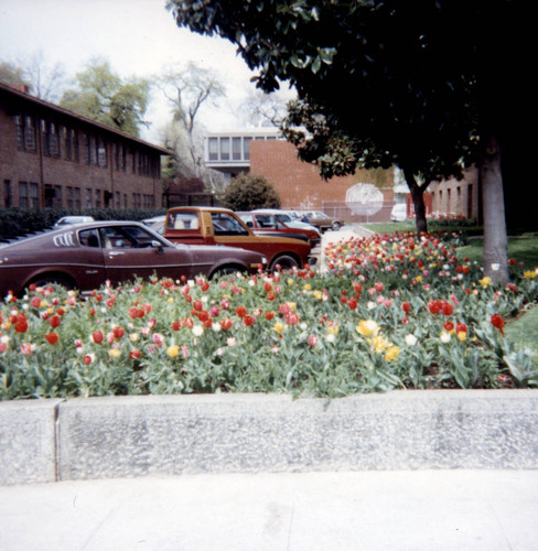 Bidwell Memorial Presbyterian Church Parking Lot