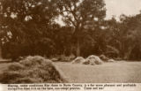 Hay Field