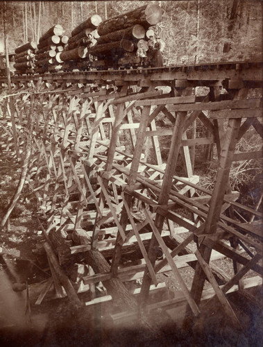 Train trestle