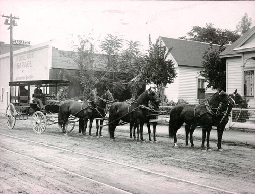 Horse Drawn Carriage