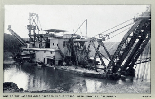 Gold Dredger