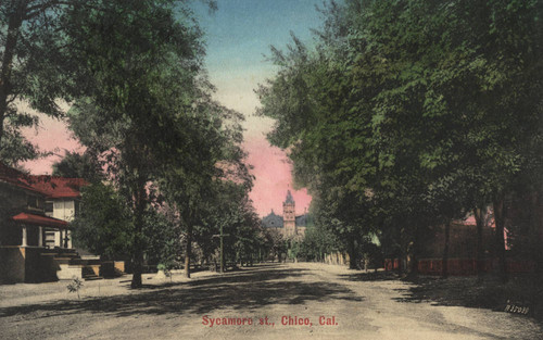 Sycamore St., Chico, Calif