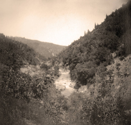 The creek, from Paradise Flat