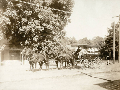 Horses and a Carriage