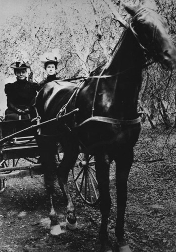 Ladies on Carriage