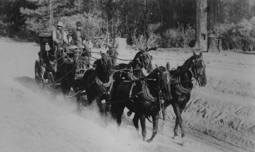 Oroville-Quincy Stagecoach In Action