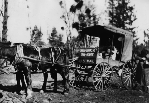 Stage and Mail Wagon