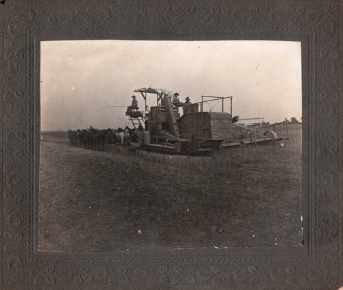 Harvesting on the Vogelsang Ranch Vina, California