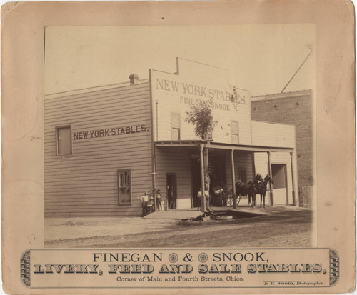 Exterior View of New York Stables