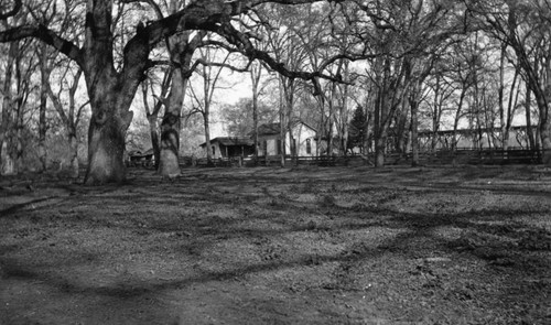 Abandoned Farm - "Mile Dam"