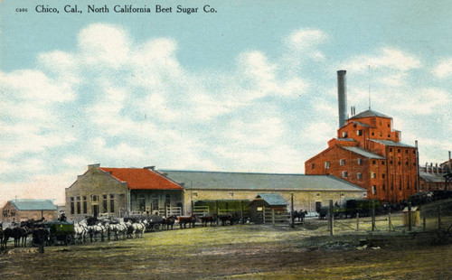 Chico Beet Sugar Company