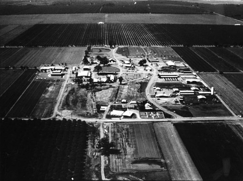 Chico State Farm aerial view