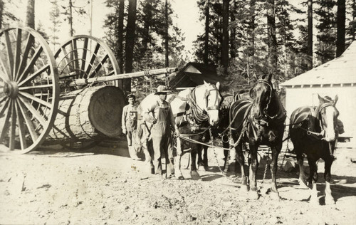 Hauling Logs