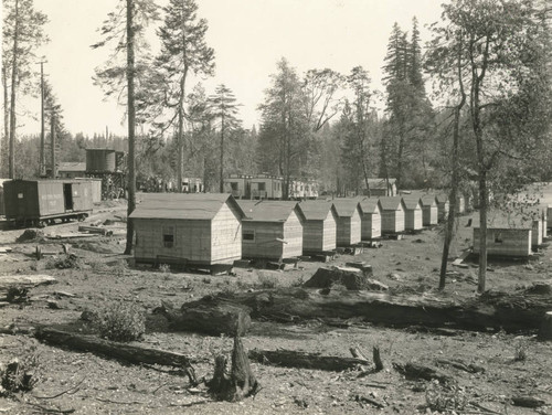 Cabins
