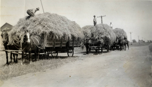 Hauling hay