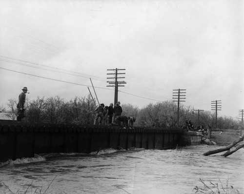 Flood on Little Chico Creek