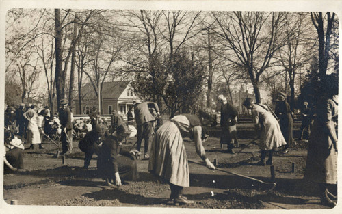 Oakdale School Garden