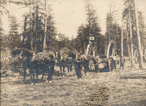 Draft Team and Logging Wagon