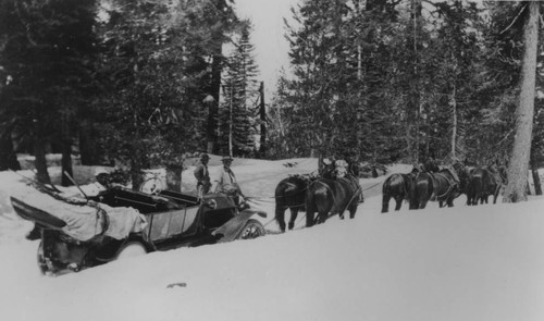 Horses Tow Car In Snow