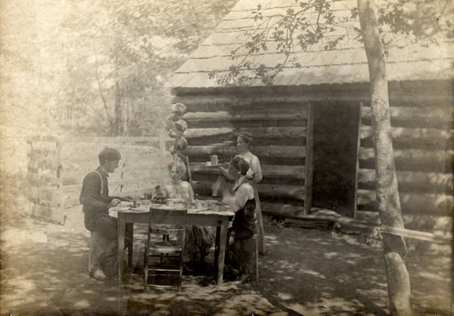 Nopel Cabin at Forest Ranch