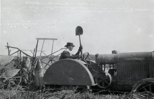 Rice Farming