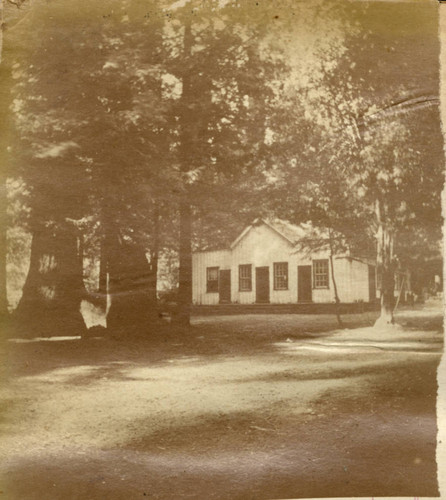 Building in the Redwoods