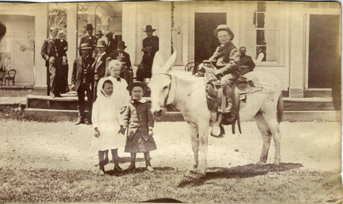 Boy on Donkey