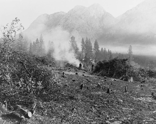 Shasta Dam: Cleared area