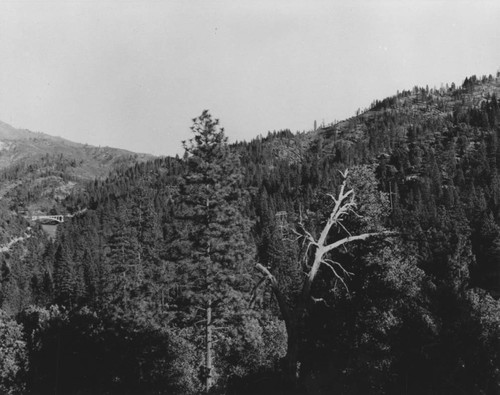 Bridge in distance over Pit River, Shasta Dam construction