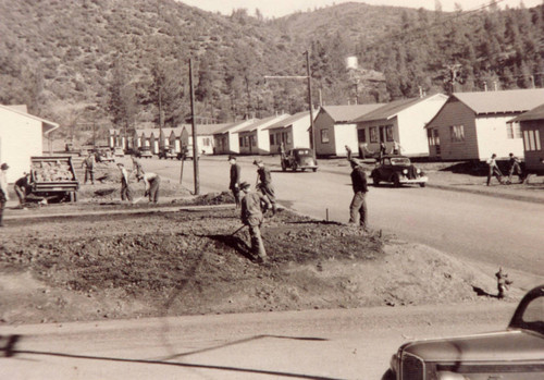 Construction of U. S. Government Camp at Shasta Dam