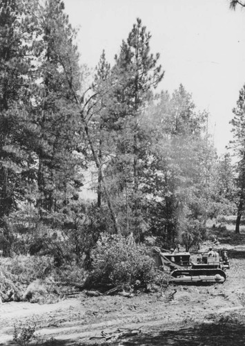 Tractor clearing brush and trees