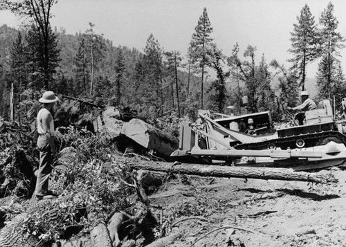 Shasta Dam: Clearing timber