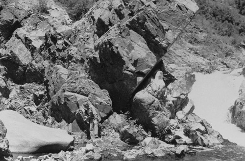 Construction of migratory fish control during construction of Shasta Dam