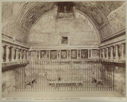 10254. Pompei - Terme del Foro - Interno della sala destinata al bagno caldo (Tepidarium)