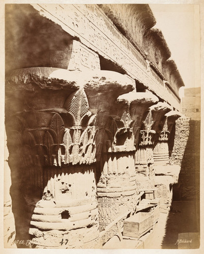 47. No. 62, Temple [Detail of capitals decorated with lotus flowers of a large Egyptian temple]