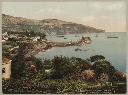 16025, Madeira. Funchal Bay From West