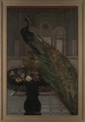 Peacock