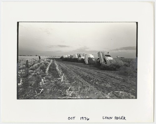 Cadillac Ranch photographs (installation view)