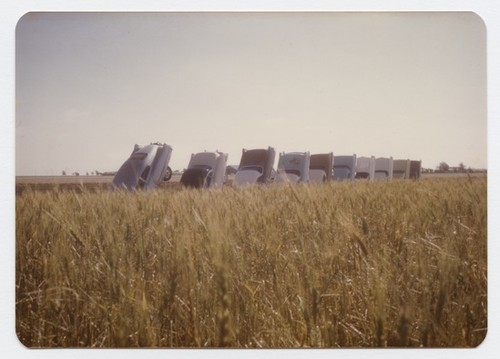 Cadillac Ranch photographs (installation view)