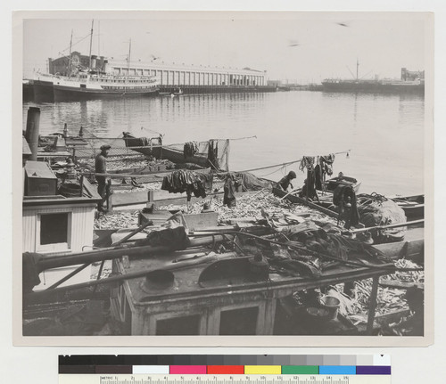 "Sardines, Los Angeles, Cal."