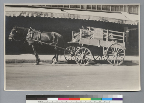 [horse and wagon outside W. Sang Lung & Co.]