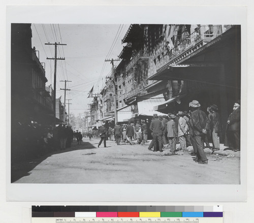 [street scene--rear view of foot traffic]