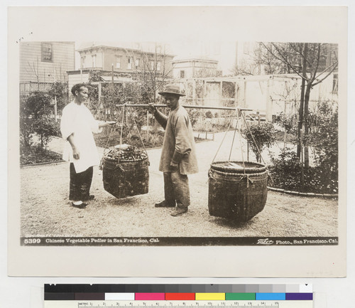 "Chinese Vegetable Peddler in San Francisco, Cal."