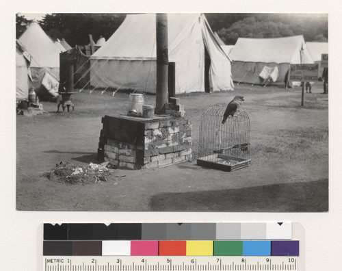 [Stove and parrot on grounds of refugee camp, Golden Gate Park.]
